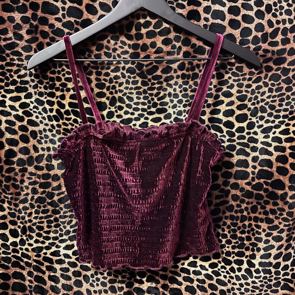 Wild Fable Burgundy Crop Top